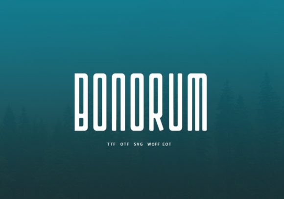 Bonorum: A Designer's Honest Take on This Display Typeface